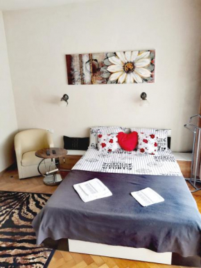 Old Town Cozy Flat Braşov